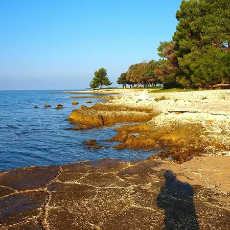 Fuer 4 Personen Ca 60 Qm In Cervar-porat, Istrien Istrische Riviera Apartmán *